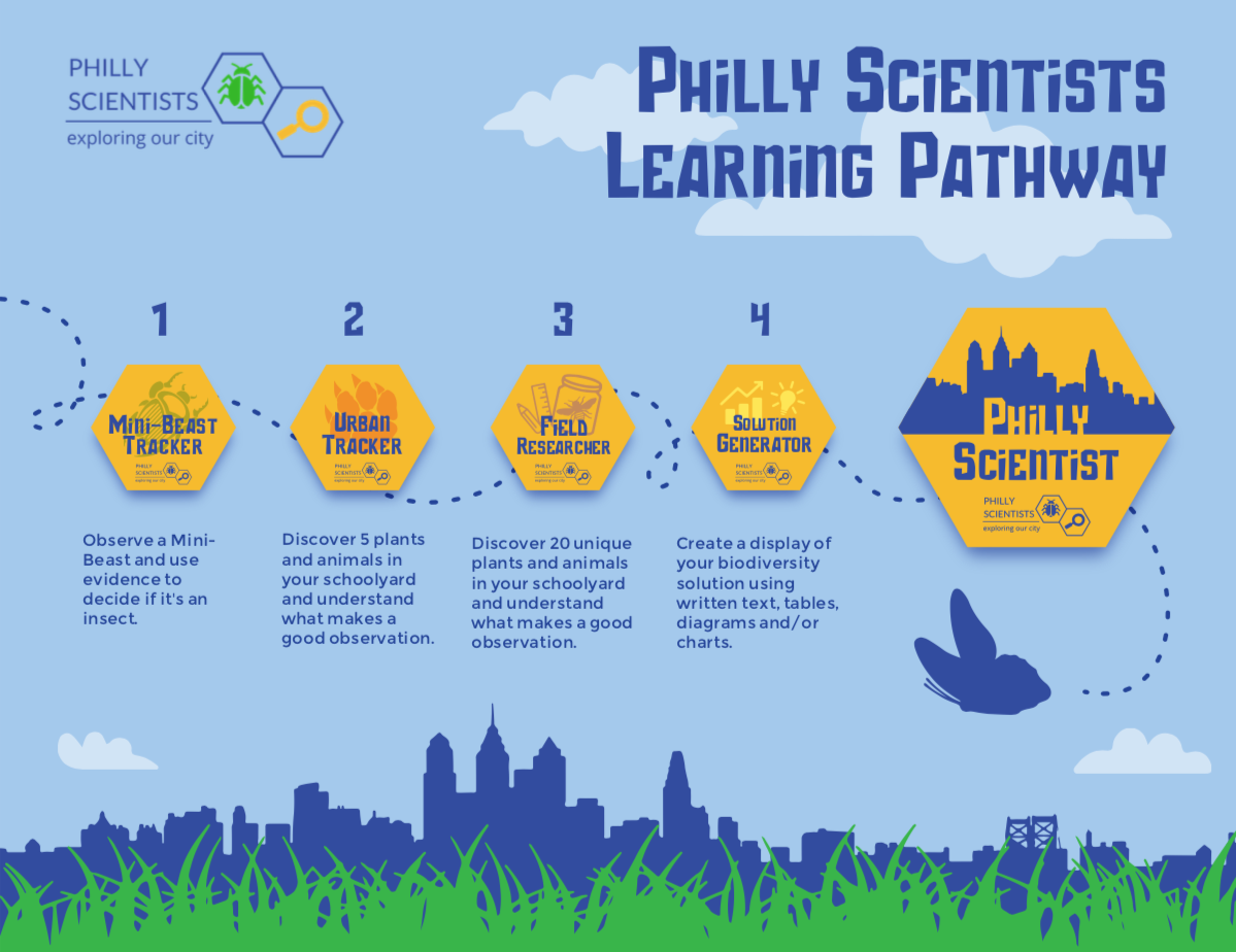 learning pathway for SWJRL including the tech basics, professional communicator, resume building, career exporation, networking and interviewing, and final Job Seeker badges.